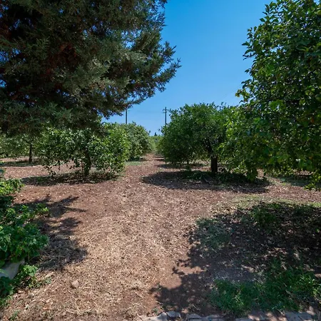 Il Limoneto Di Nonno Corrado Avola