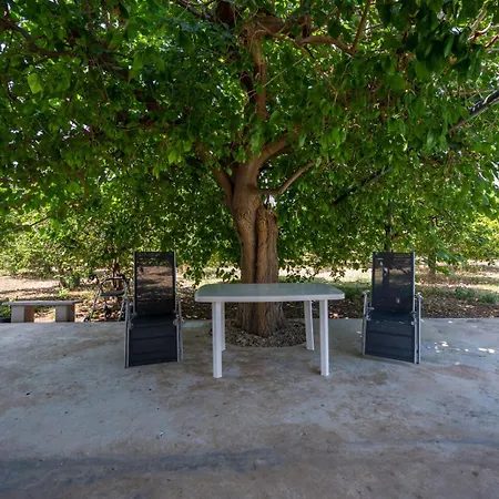 Il Limoneto Di Nonno Corrado